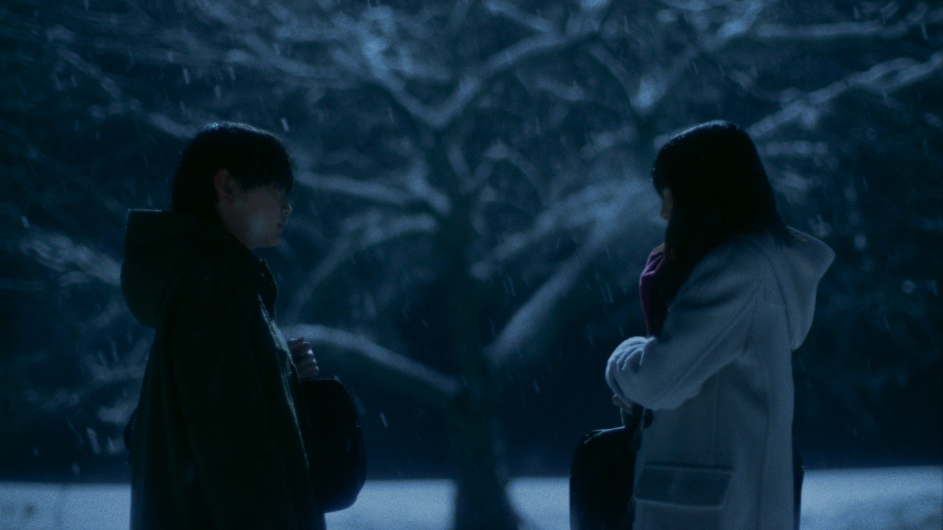 Byousoku 5 Centimeter (2025) Live Action Subtitle Indonesia