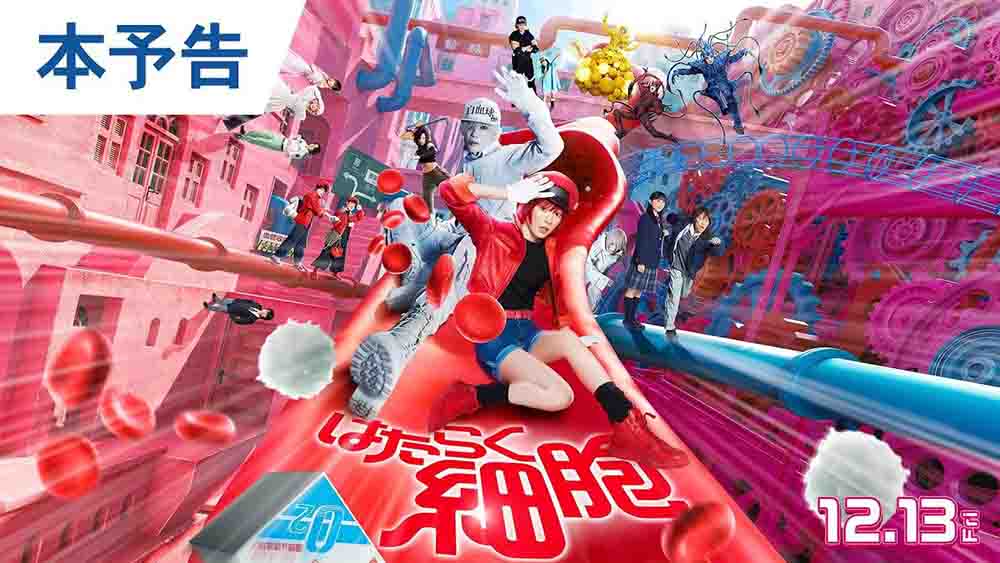 Hataraku Saibou Live Action (2024) Subtitle Indonesia