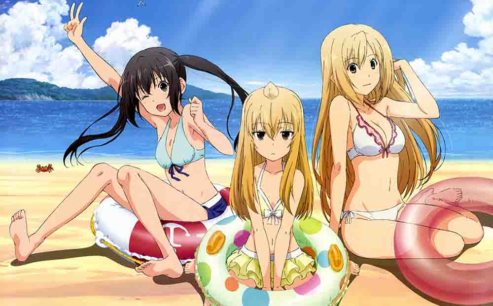 Minami-ke Season 3 BD Subtitle Indonesia