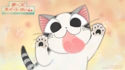 Chi's Sweet Home