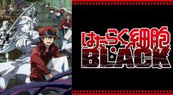 Hataraku Saibou Black (TV)