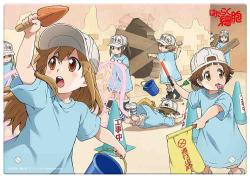 Hataraku Saibou!! Season 2