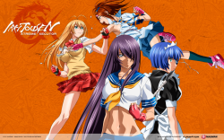 Ikkitousen Xtreme Xecutor