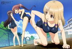 Jinsei