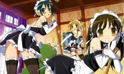 Kore ga Watashi no Goshujin-sama DVD