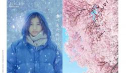 Little Forest: Winter & Spring Japanese Movie (2015)