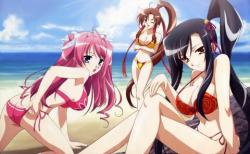Shin Koihime Musou