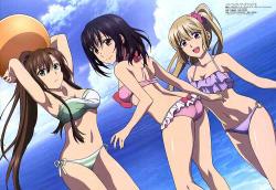 Strike the Blood IV (Season 4)