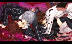 Vampire Knight Season 1-2