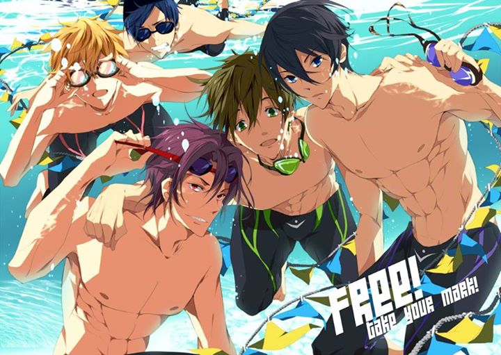 Free! S1 Sub Indo Episode 01-12 End BD