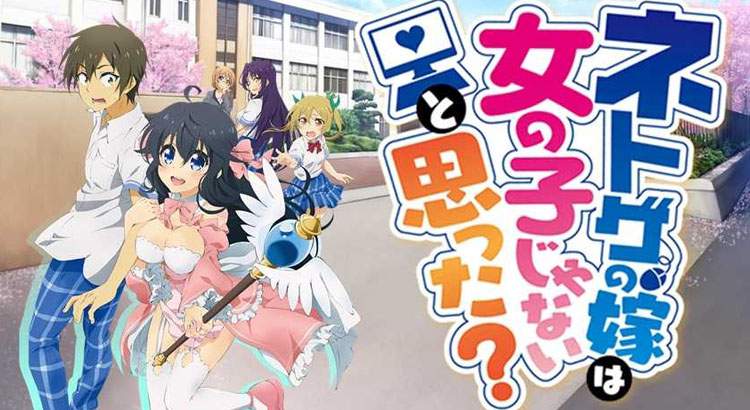 Netoge no Yome wa Onnanoko ja Nai to Omotta? Sub Indo Episode 01-12 End BD