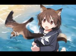 Brave Witches