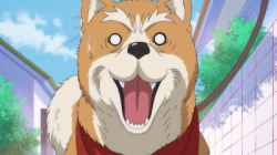 Oda Cinnamon Nobunaga